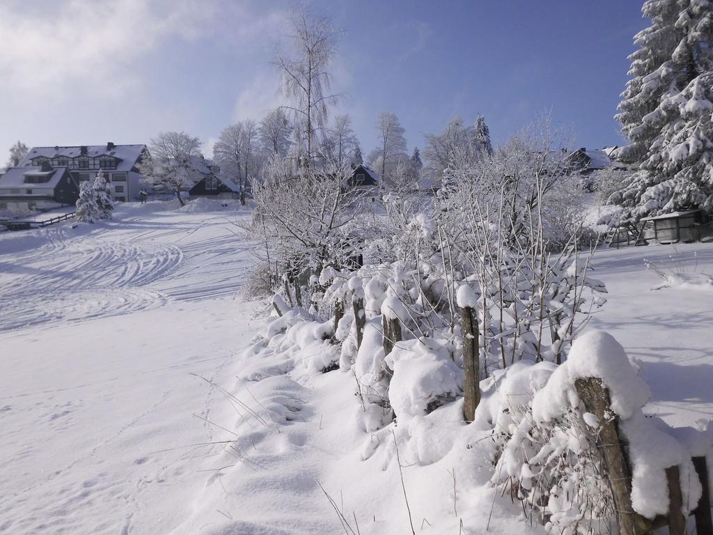 Apartment In Langewiese Sauerland With Garden Βίντερμπεργκ Εξωτερικό φωτογραφία