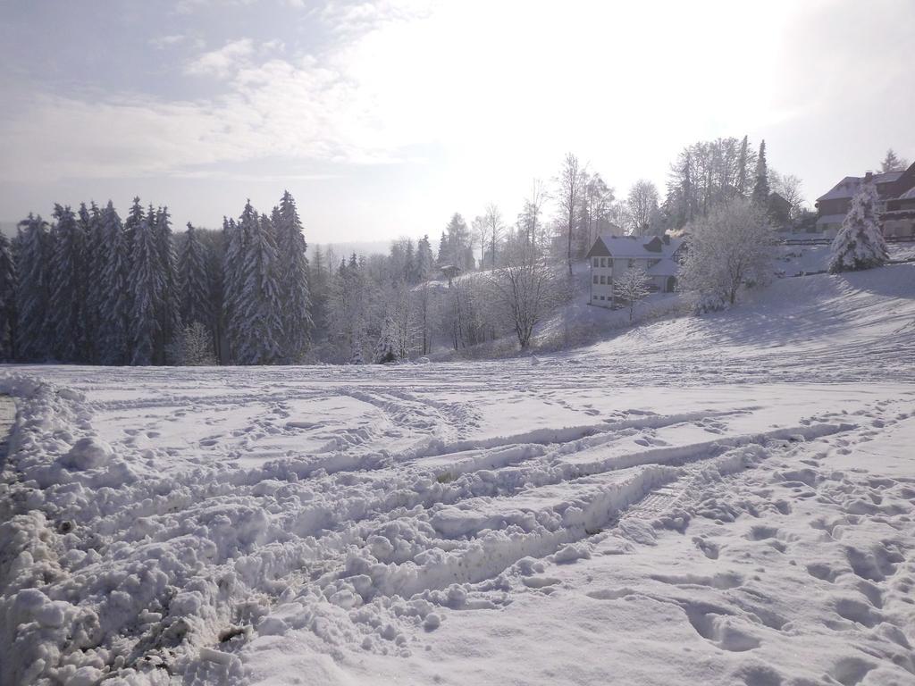Apartment In Langewiese Sauerland With Garden Βίντερμπεργκ Εξωτερικό φωτογραφία
