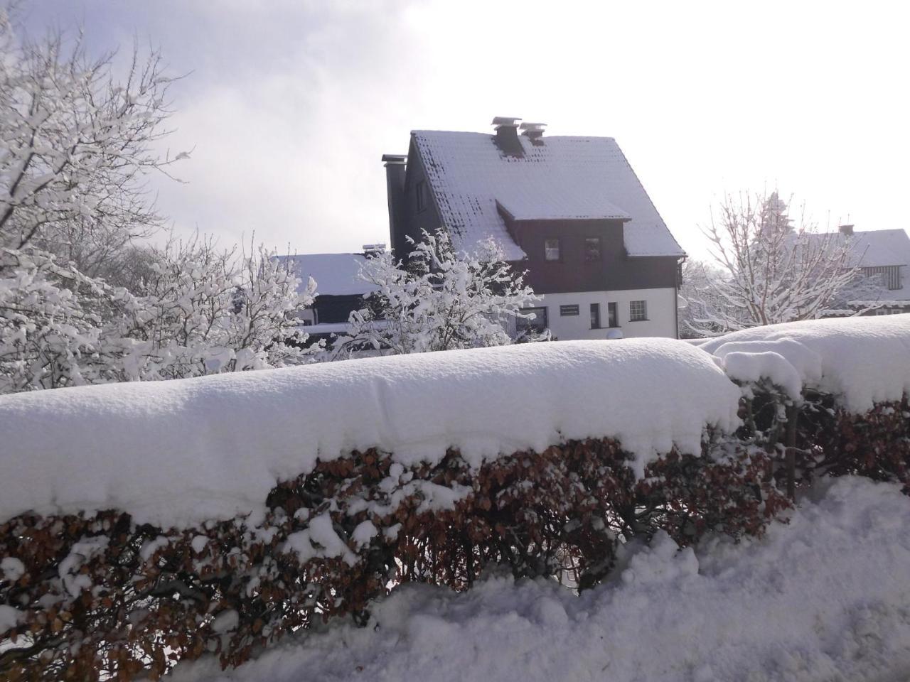 Apartment In Langewiese Sauerland With Garden Βίντερμπεργκ Εξωτερικό φωτογραφία